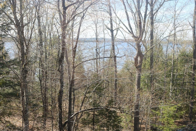 50 Widgeon Rd, Madison, ME 04950 - water view featuring a view of trees