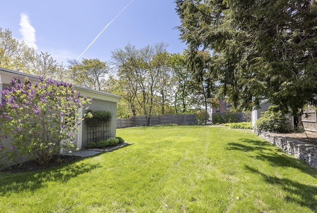 14 Highland St, Portland, ME 04103 - view of yard