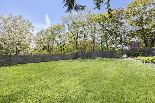 14 Highland St, Portland, ME 04103 - view of yard