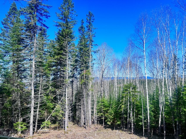 mountain view featuring a forest