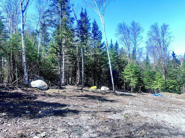 view of tree filled area