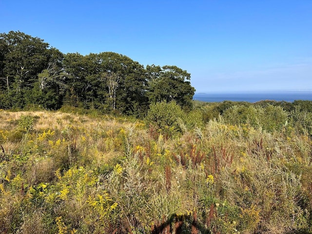12 Lexington Ln, Rockport, ME 04856 - photo 4