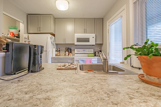 kitchen with white appliances, a sink, gray cabinets, and light countertops