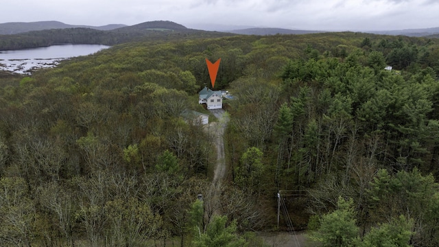 229 Stone Rd, Newfield, ME 04095 - aerial view of property and surrounding area featuring a forest and a water and mountain view