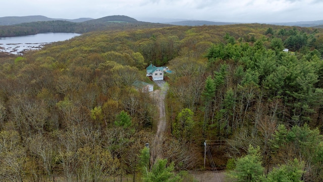 229 Stone Rd, Newfield, ME 04095 - aerial view of property and surrounding area with a forest and a water and mountain view