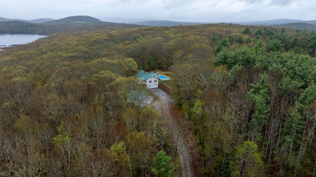 229 Stone Rd, Newfield, ME 04095 - aerial overview of property's location with a heavily wooded area and a water and mountain view