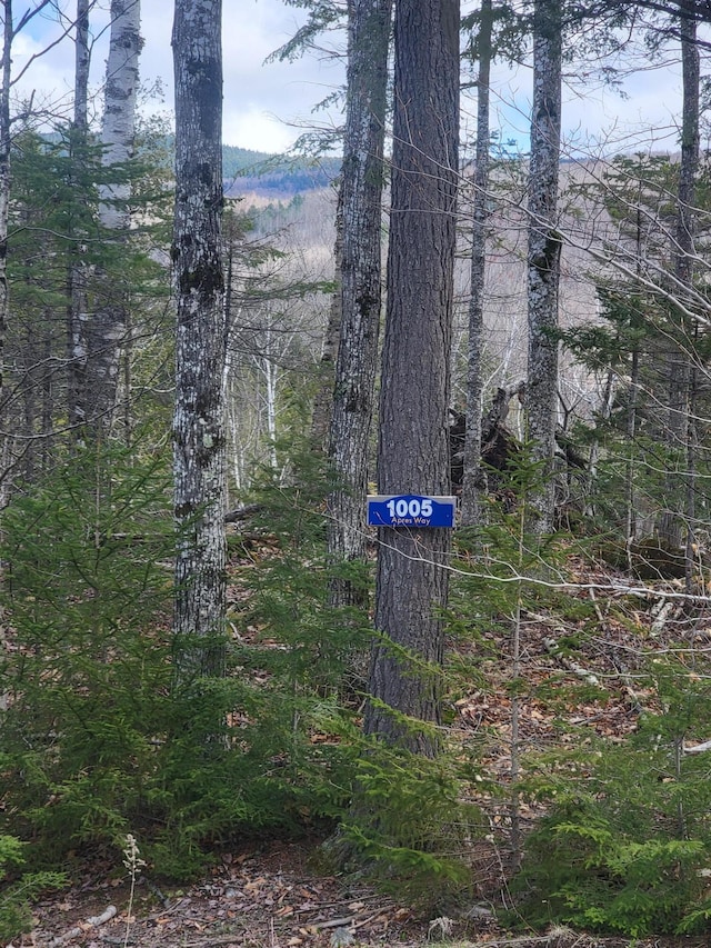 1005 Apres Way, Carrabassett Valley, ME 04947