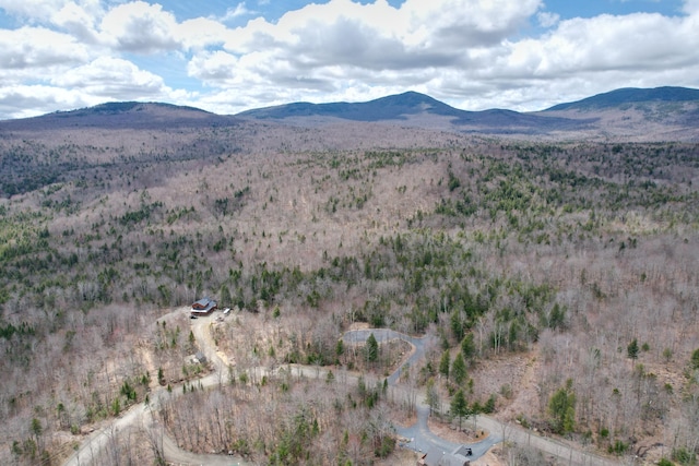 1005 Apres Way, Carrabassett Valley, ME 04947