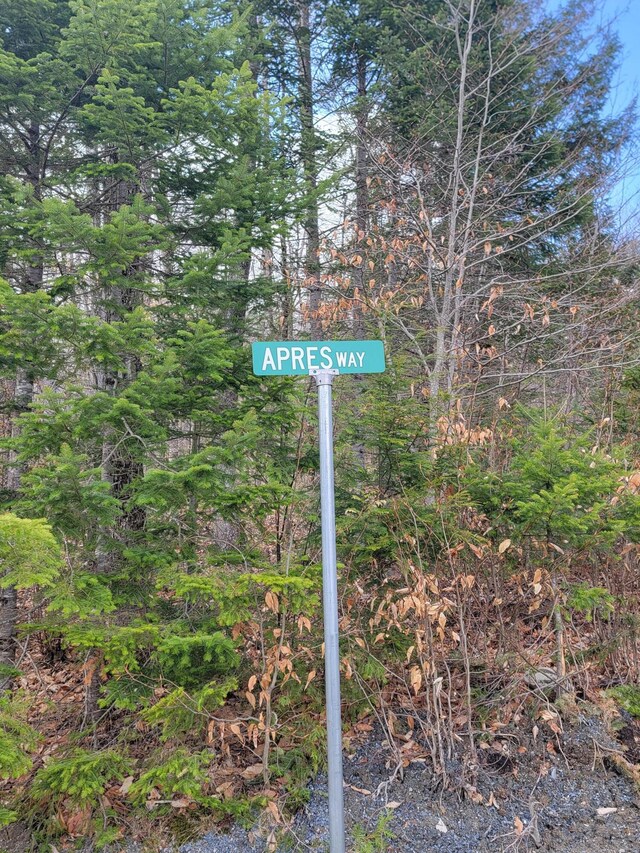 1005 Apres Way, Carrabassett Valley, ME 04947