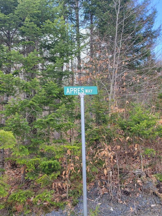 1007 Apres Way, Carrabassett Valley, ME 04947