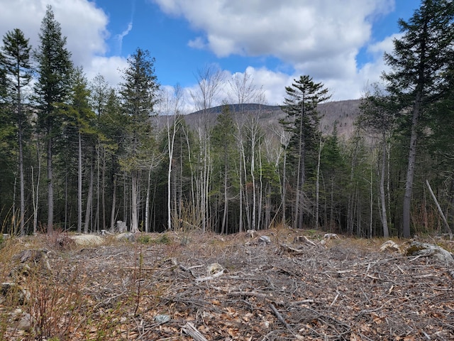 1007 Apres Way, Carrabassett Valley, ME 04947