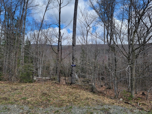 1007 Apres Way, Carrabassett Valley, ME 04947