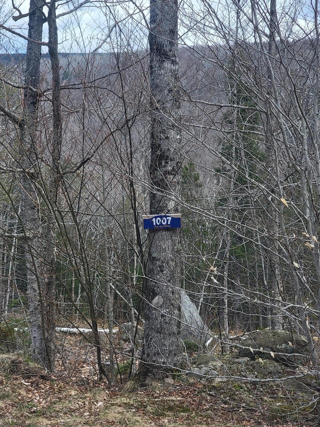 1007 Apres Way, Carrabassett Valley, ME 04947