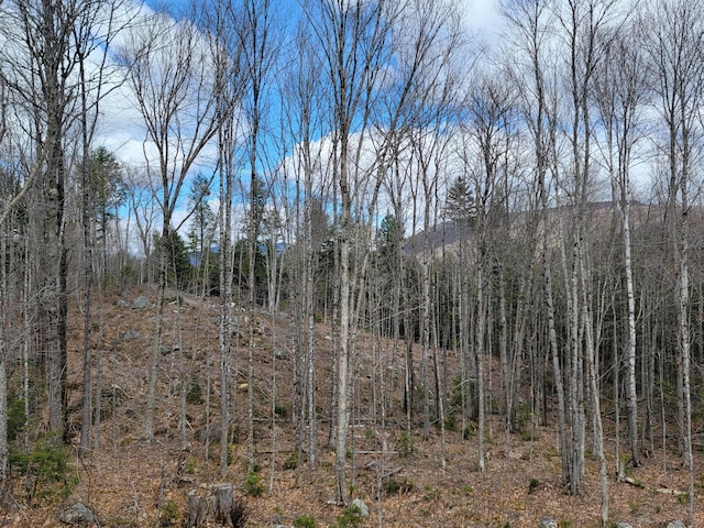 1007 Apres Way, Carrabassett Valley, ME 04947