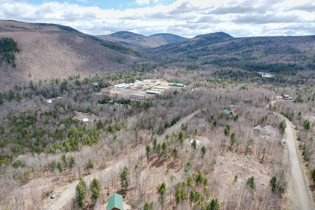1007 Apres Way, Carrabassett Valley, ME 04947