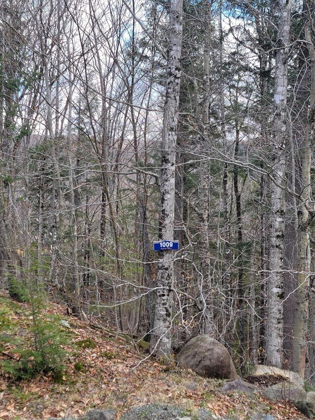 1009 Apres Way, Carrabassett Valley, ME 04947