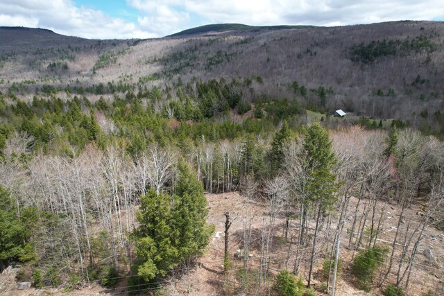 1009 Apres Way, Carrabassett Valley, ME 04947
