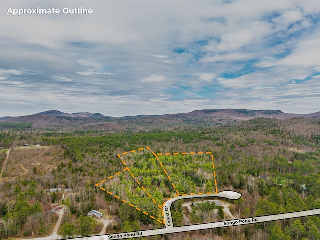 3 Forest Dr, Albany Twp, ME 04217 - view of mountain feature featuring a forest view