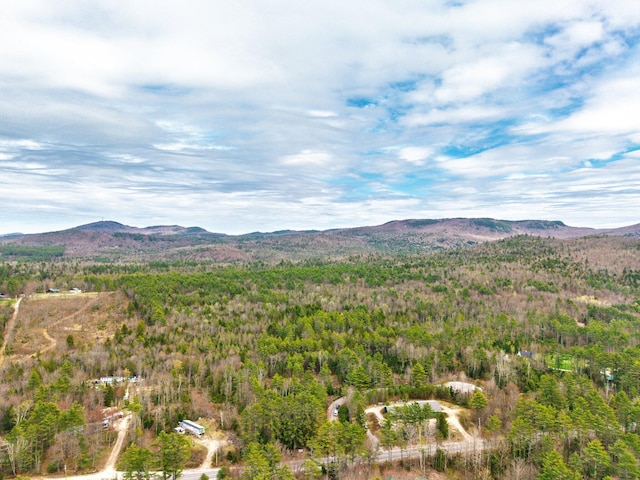 3 Forest Dr, Albany Twp, ME 04217 - property view of mountains with a view of trees