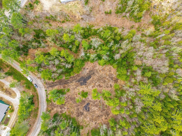 3 Forest Dr, Albany Twp, ME 04217 - aerial view