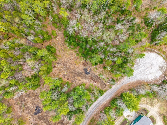 3 Forest Dr, Albany Twp, ME 04217 - birds eye view of property