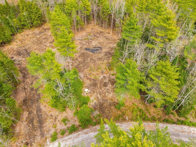 3 Forest Dr, Albany Twp, ME 04217 - birds eye view of property