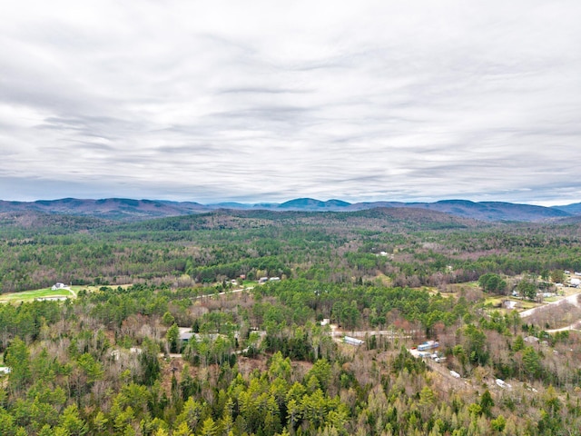 3 Forest Dr, Albany Twp, ME 04217 - drone / aerial view with a mountain view and a forest view