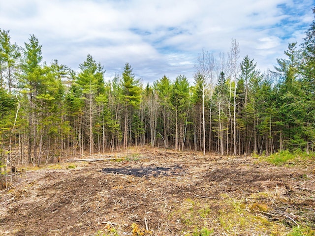 3 Forest Dr, Albany Twp, ME 04217 - view of local wilderness with a forest view