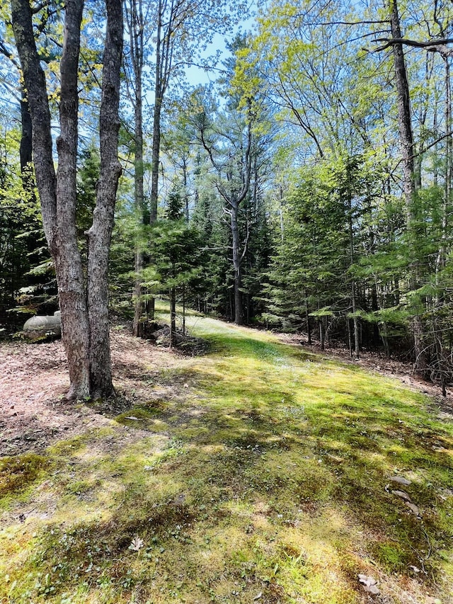 329 Salt Pond Rd, Blue Hill, ME 04614 - view of yard with a forest view