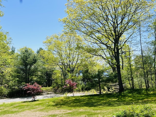 329 Salt Pond Rd, Blue Hill, ME 04614 - view of yard