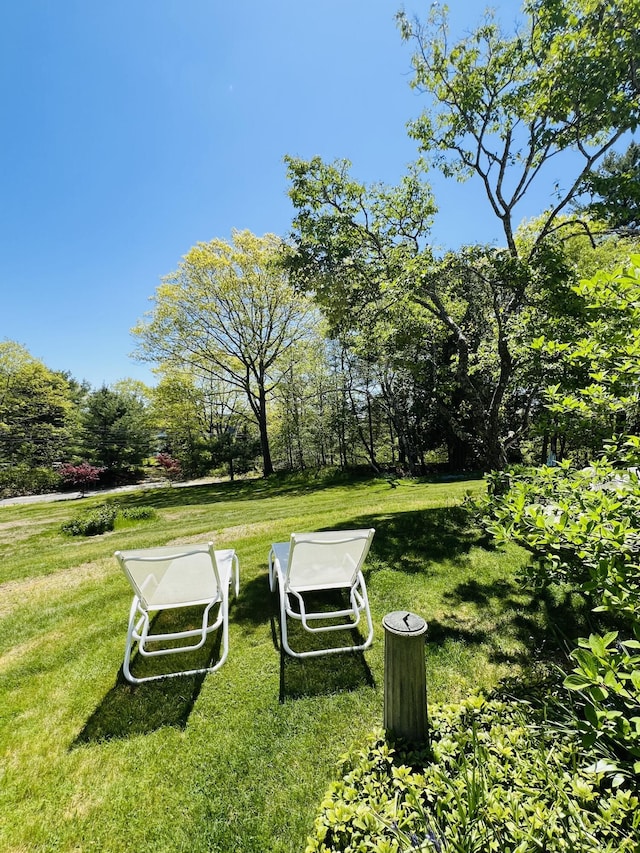 329 Salt Pond Rd, Blue Hill, ME 04614 - view of green lawn