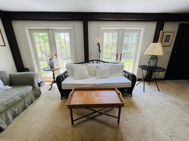 329 Salt Pond Rd, Blue Hill, ME 04614 - living room featuring french doors, plenty of natural light, and carpet flooring