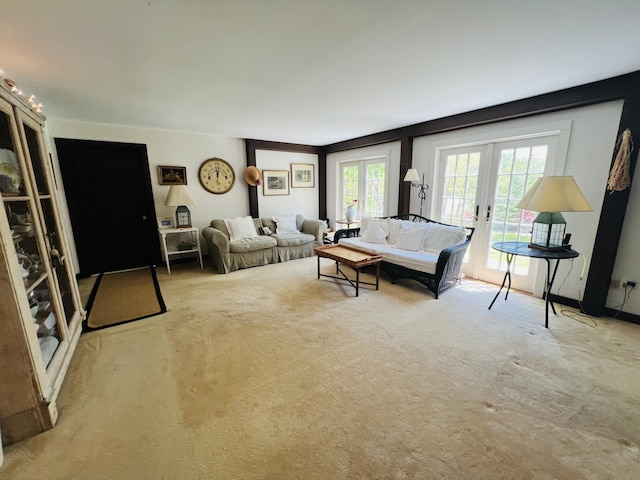 329 Salt Pond Rd, Blue Hill, ME 04614 - living room with carpet floors, healthy amount of natural light, and french doors
