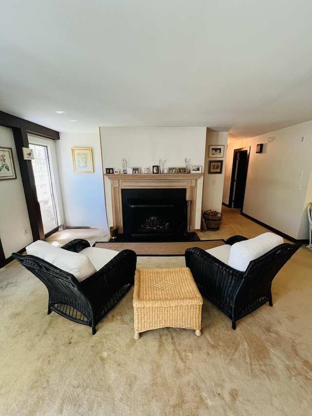 329 Salt Pond Rd, Blue Hill, ME 04614 - living room featuring a fireplace and carpet flooring