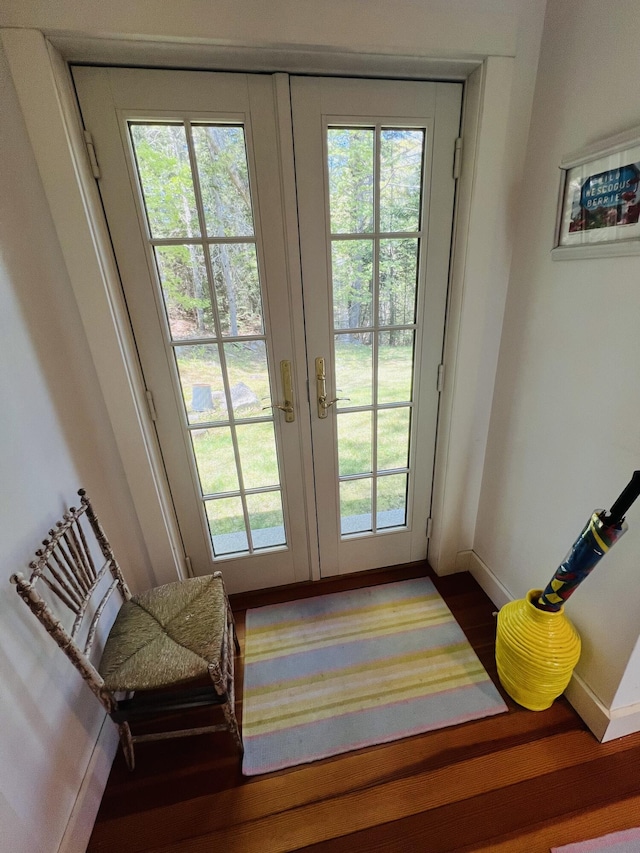 329 Salt Pond Rd, Blue Hill, ME 04614 - entryway featuring french doors, wood finished floors, baseboards, and healthy amount of natural light