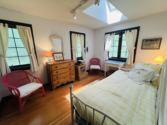 329 Salt Pond Rd, Blue Hill, ME 04614 - bedroom featuring a skylight, track lighting, and wood-type flooring