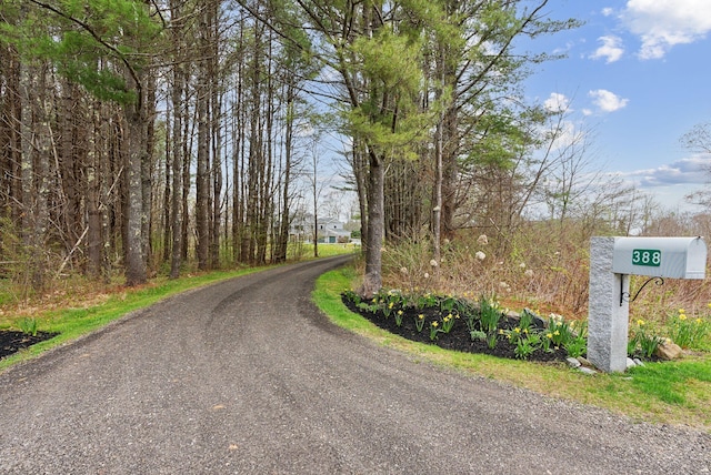 388 High Head Rd, Harpswell, ME 04079 - view of road