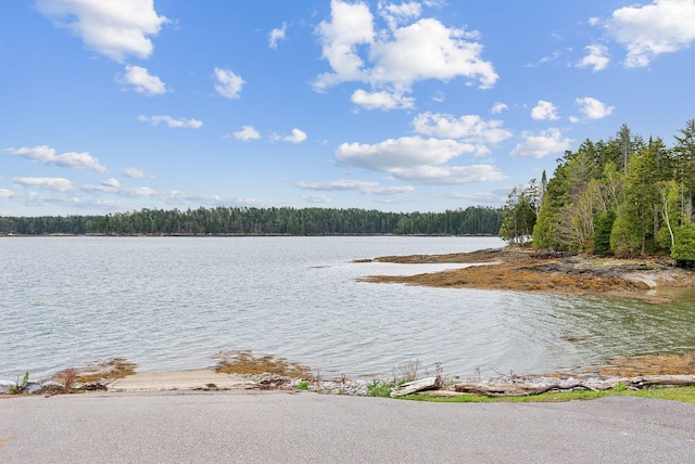388 High Head Rd, Harpswell, ME 04079 - water view featuring a forest