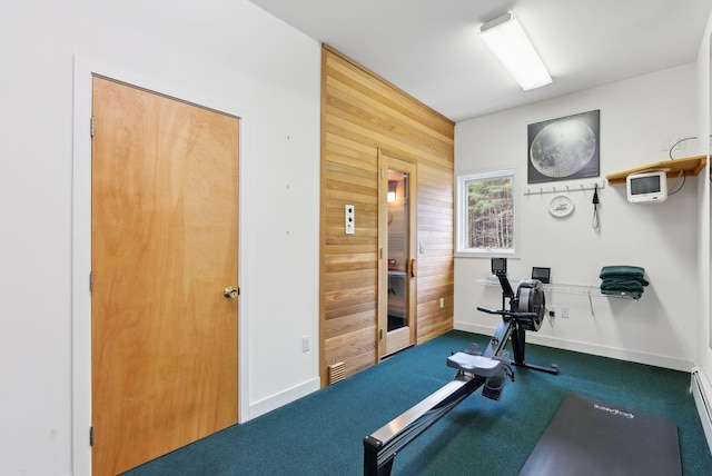 388 High Head Rd, Harpswell, ME 04079 - workout room featuring wood walls, carpet flooring, and baseboards