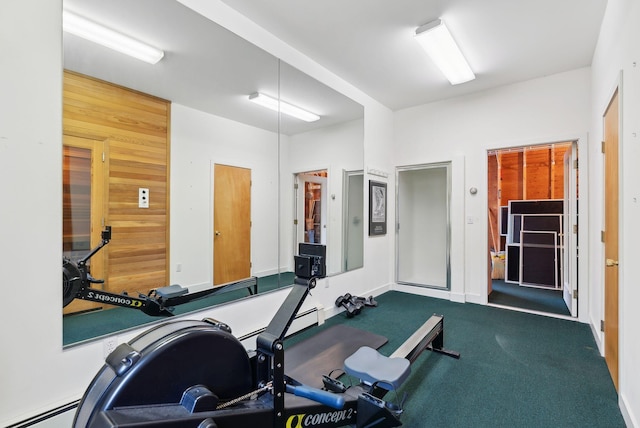 388 High Head Rd, Harpswell, ME 04079 - workout room with wood walls and carpet floors