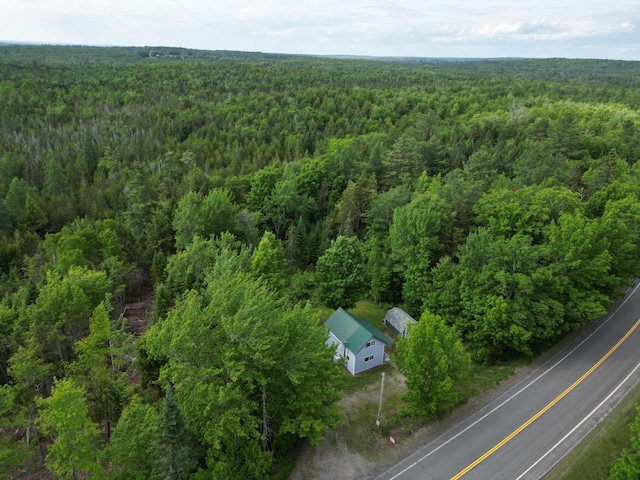 1352 Main Rd, Carroll Plt, ME 04487 - view of subject property with a heavily wooded area
