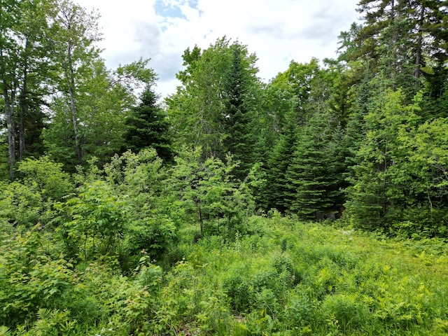 1352 Main Rd, Carroll Plt, ME 04487 - view of woods
