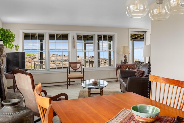 20 Long Point Is, Harpswell, ME 04079 - dining space with baseboard heating, a baseboard radiator, and light wood-style flooring