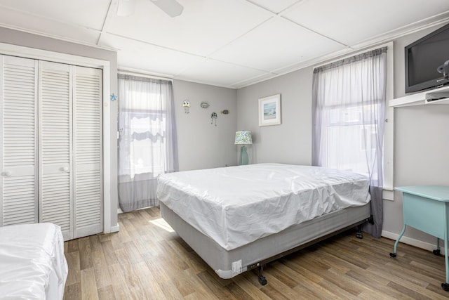 bedroom with multiple windows, wood finished floors, and a closet