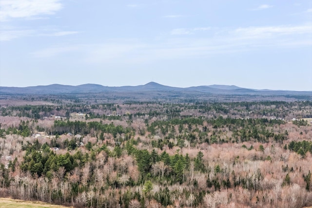 111 Amberside Dr, Hermon, ME 04401 - photo 23