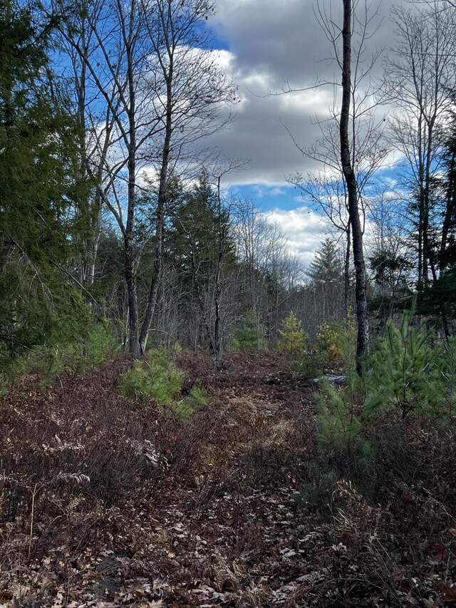 628 Main St, Waterboro, ME 04087 - photo 4