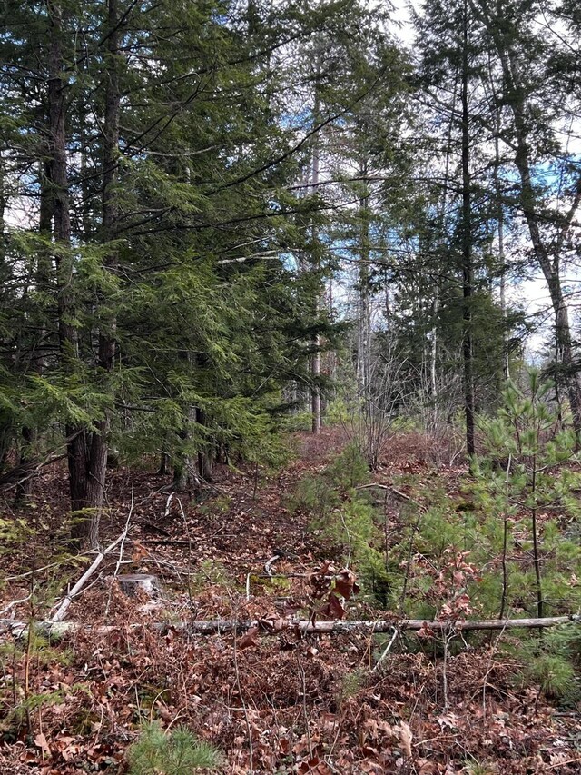 628 Main St, Waterboro, ME 04087 - photo 3