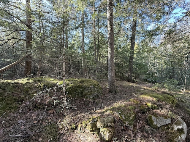 LOT45 Dickey Hill Rd, Monroe, ME 04951
