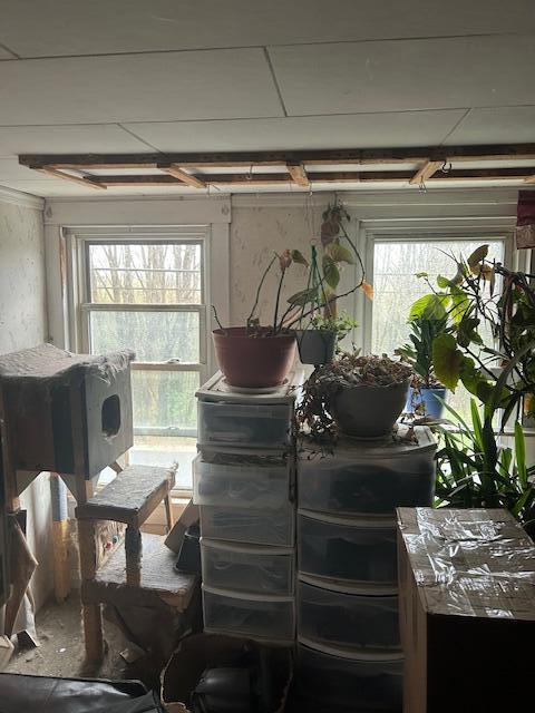 217 Dickvale Rd, Peru, ME 04290 - view of garage
