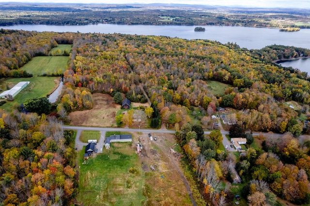 aerial overview of property's location with a nearby body of water and a forest
